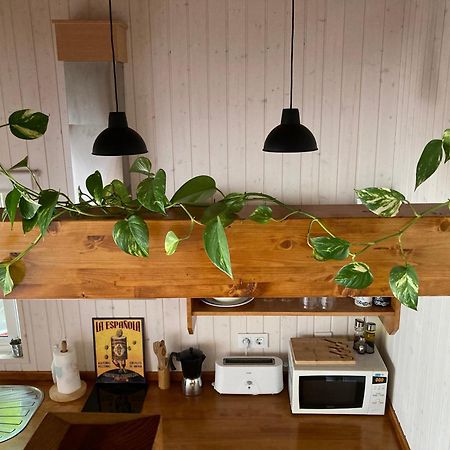 Acogedora Casa En Rinlo, En La Villa De Ribadeo Exteriér fotografie