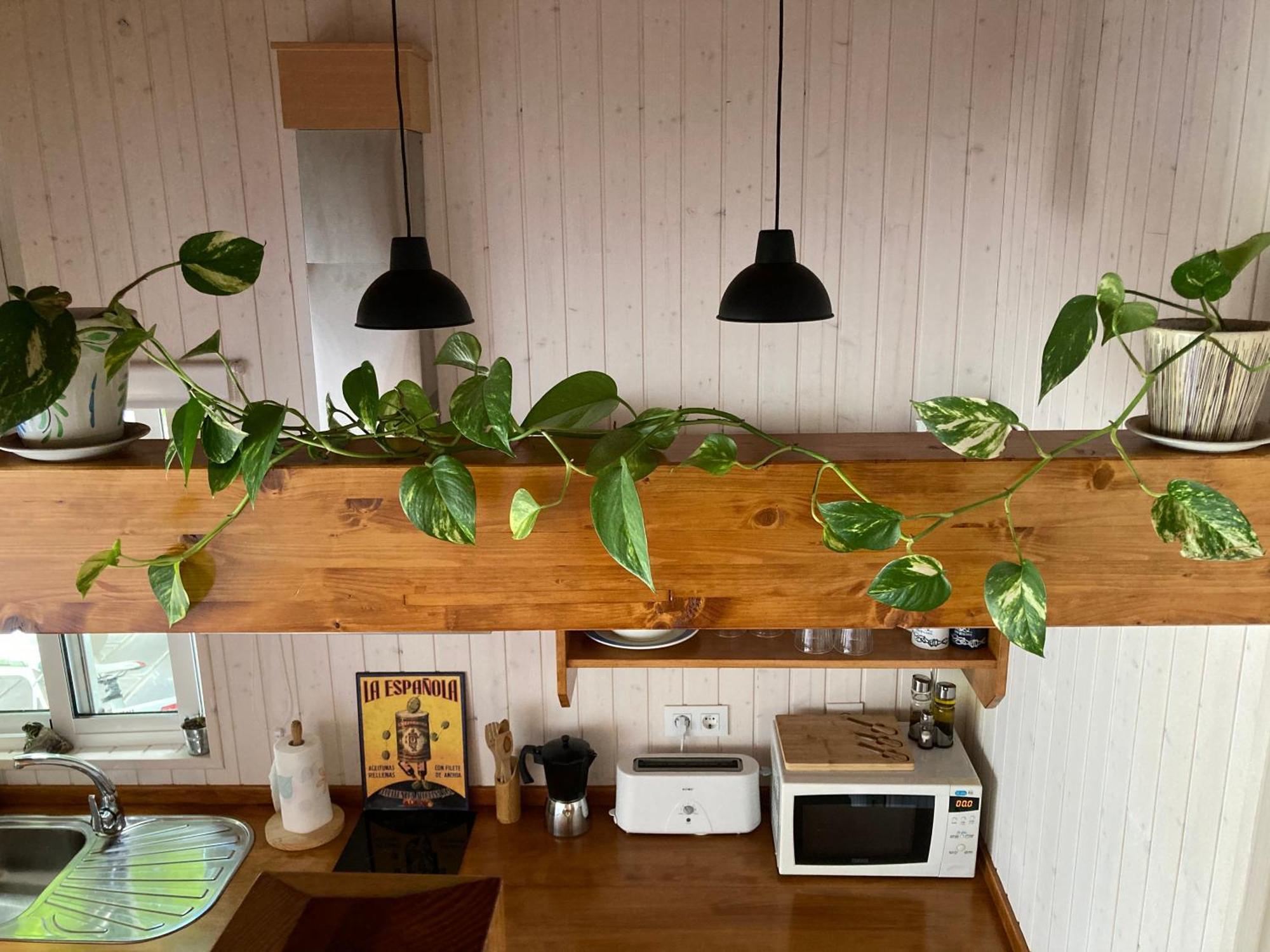 Acogedora Casa En Rinlo, En La Villa De Ribadeo Exteriér fotografie